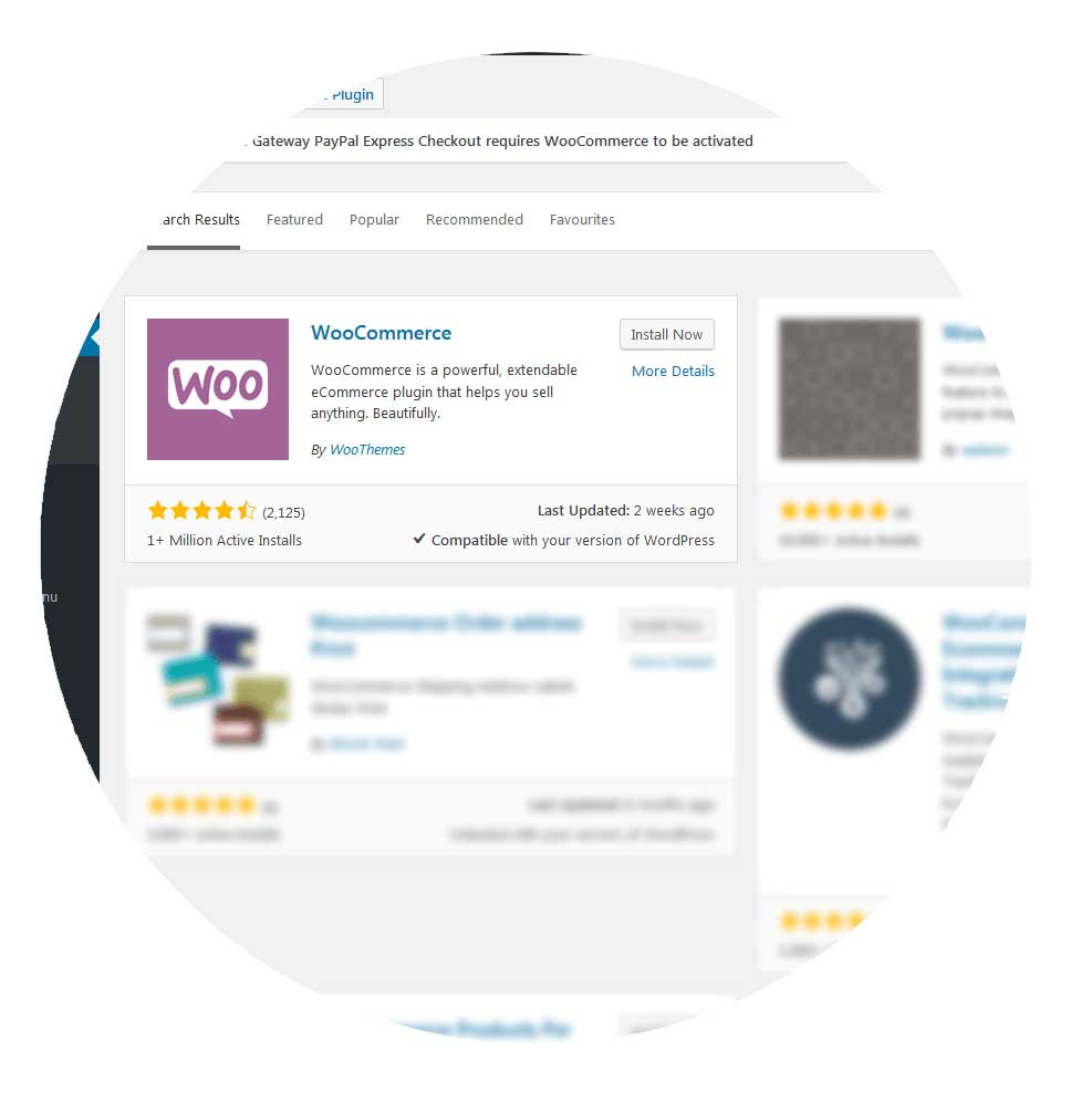 Boutique en ligne Woocommerce