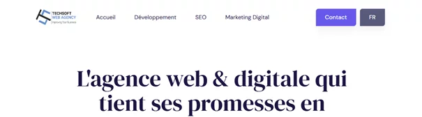 Agence web Techsoft Web Agency