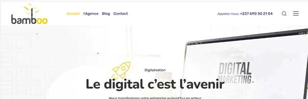 Agence web Bamboo